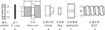 圖片關(guān)鍵詞 圖片關(guān)鍵詞