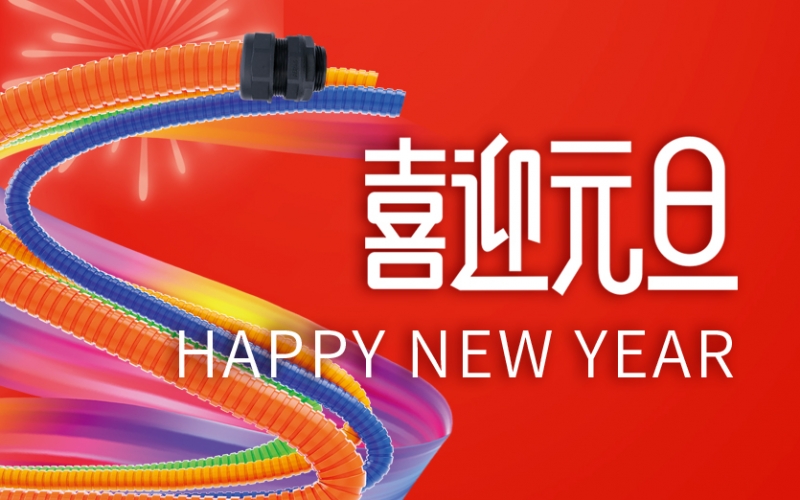 浙江雷諾爾 - 同心聚力 共創(chuàng  )未來(lái)